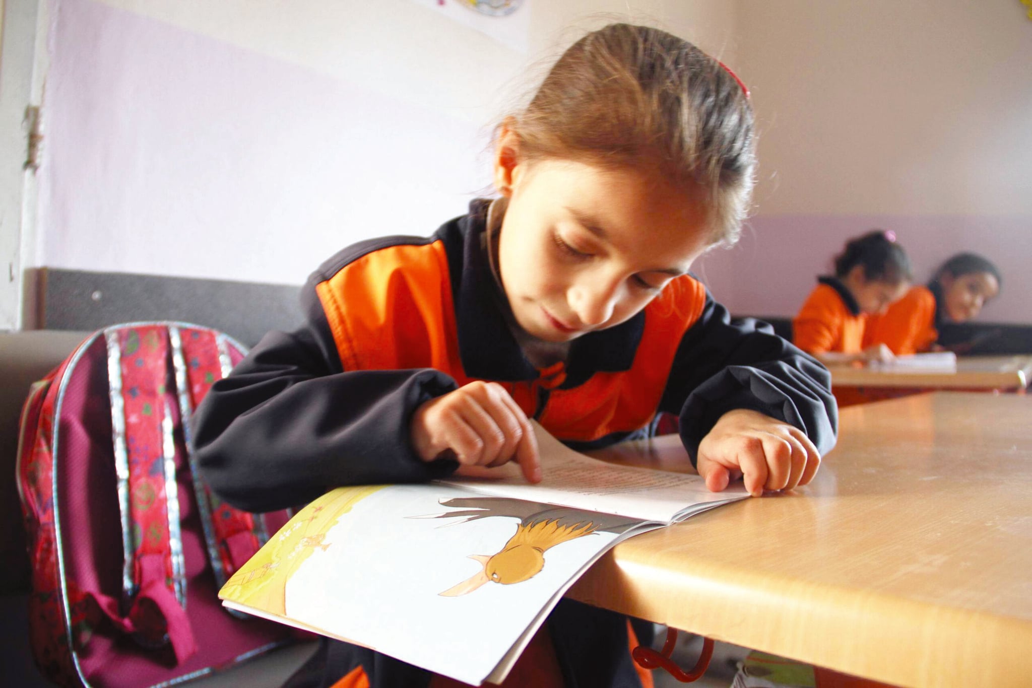 Pêşxistina zimên, peywira welatparêziyê ye