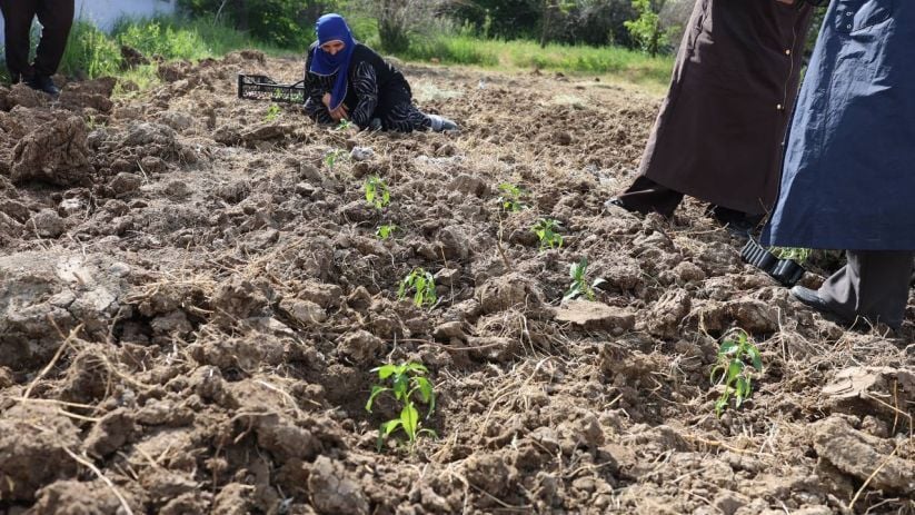 Piştevaniya Zîn bîstanê bajêr ê jinan vekir 