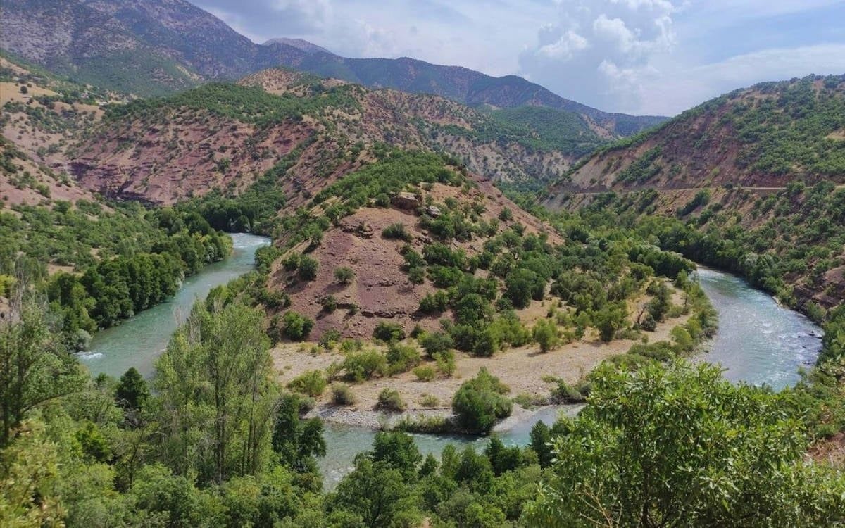 ‘Ez Alî Haydaro Pilomurij’ 