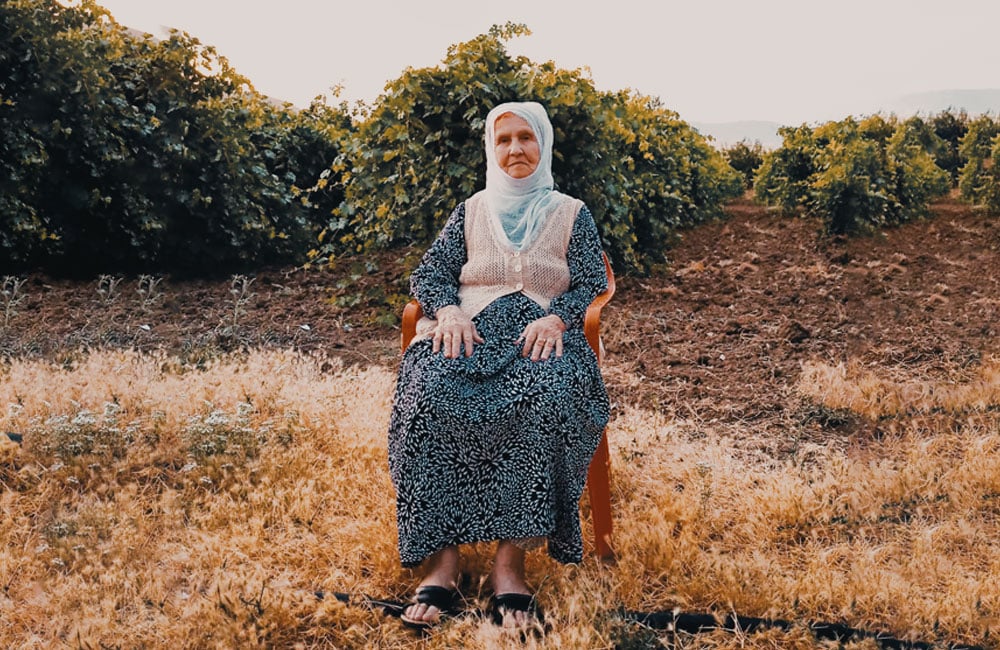 Dewkula kurdî