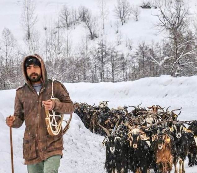 Baroyê Dêrsimî Murat Yildizî ser o eşkerayîye daye