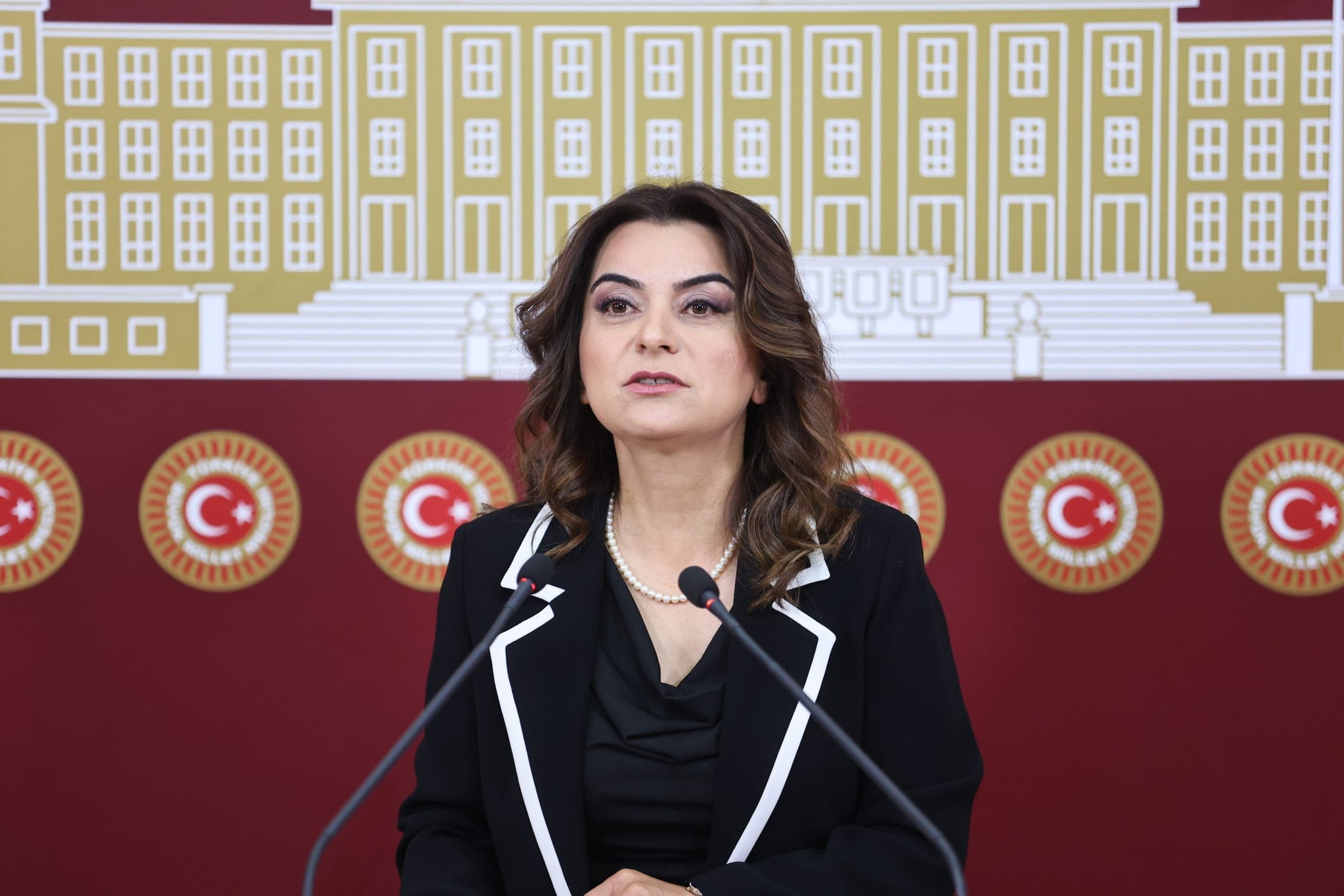 ‘Navnîşana çareseriyê siyaseta demokratîk û meclîs e’