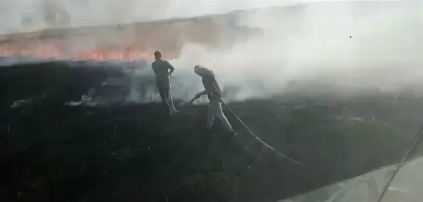 Li Hesekê 24 hezar û 144 donim zad şewitî