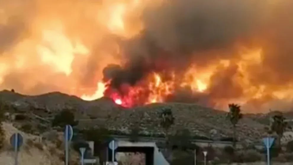 Îspanya de adirê daristanî de hûmara merdeyan resaye 12