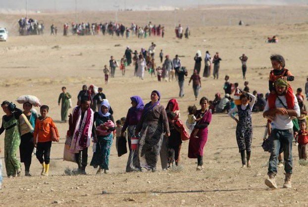 KCKê ji bo Şengalê bang kir: Divê mirovahî bi berpirsyariyê rabe