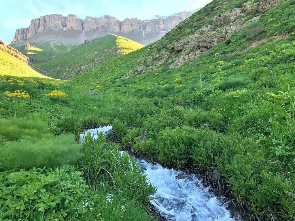 Bendeya netewperestiyê