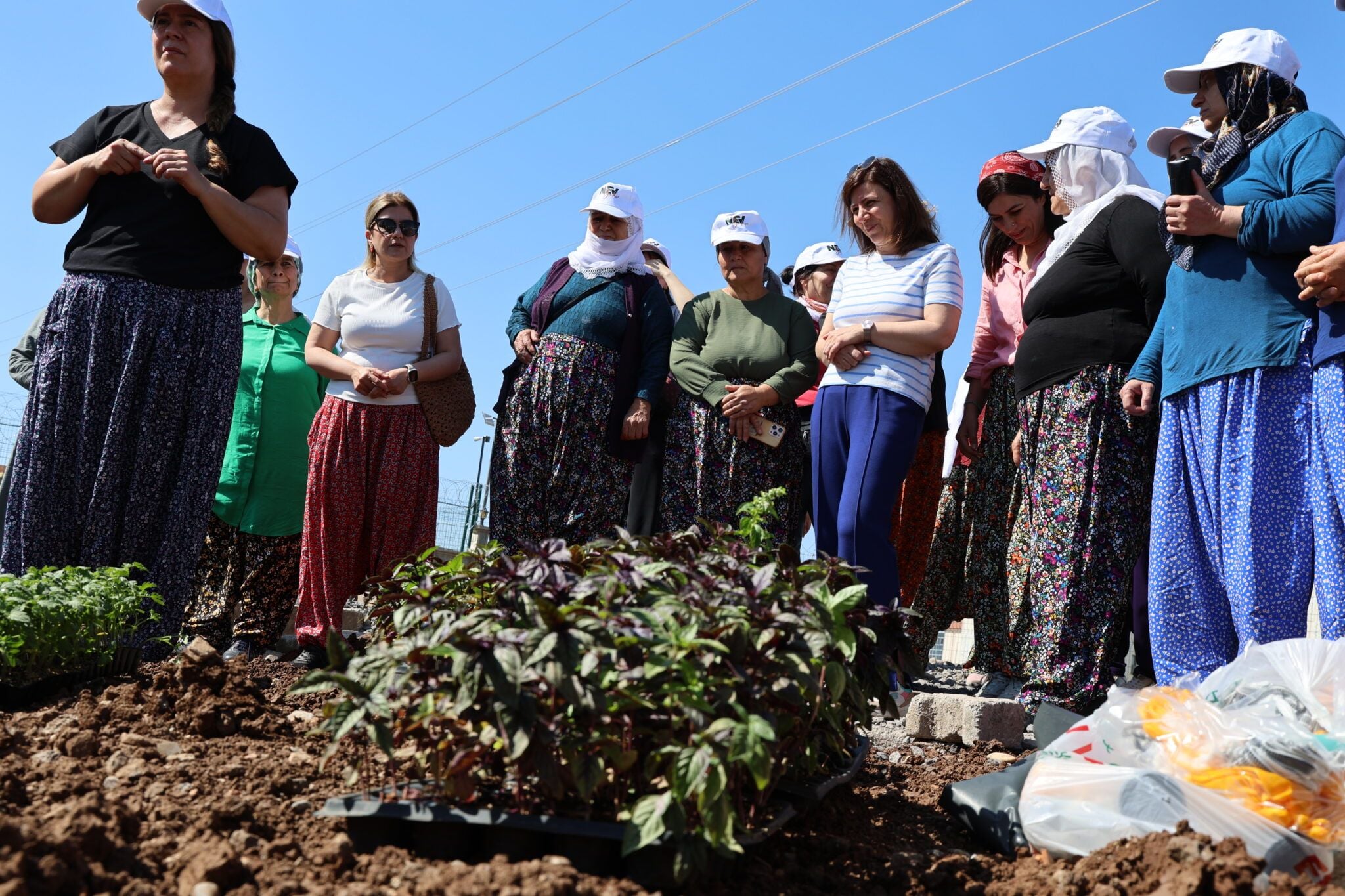 Li Bostana Komuna Jinan firingî û rihan hatin danîn