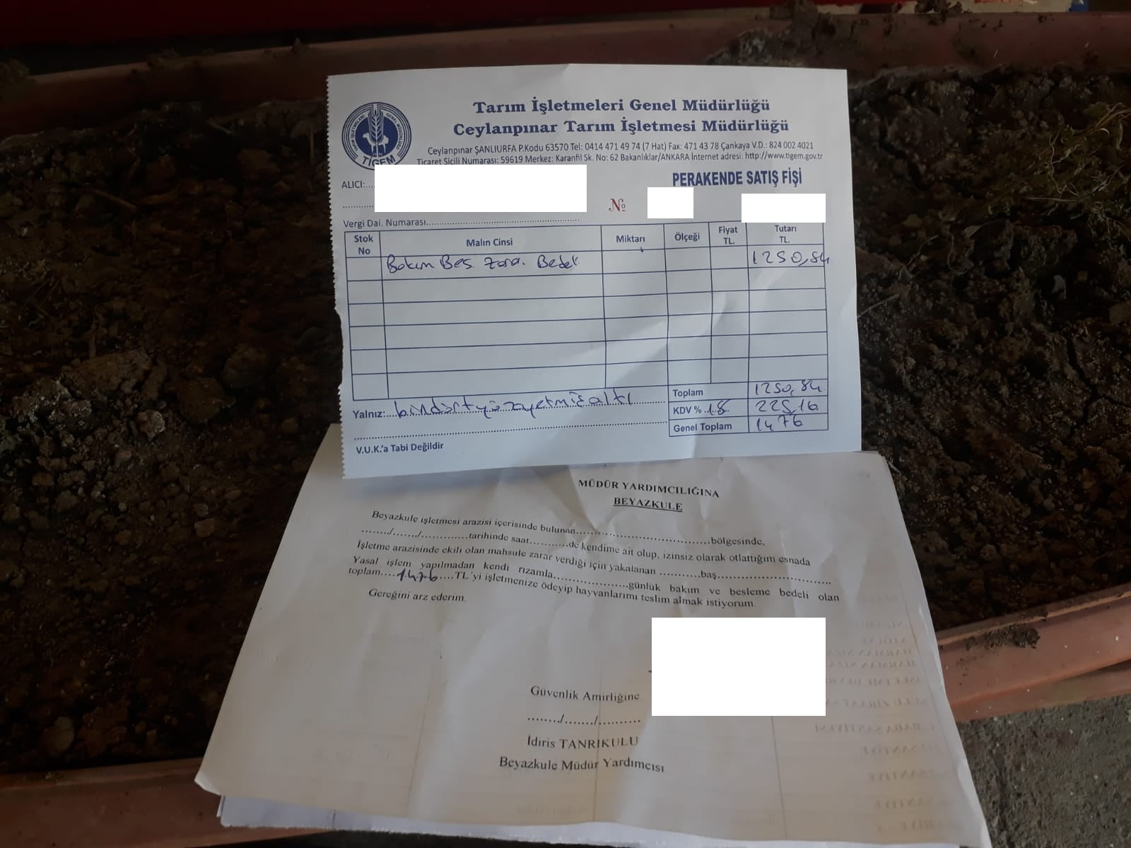 TÎGEM heywanên şêniyan desteser dike, cezayan dibirre
