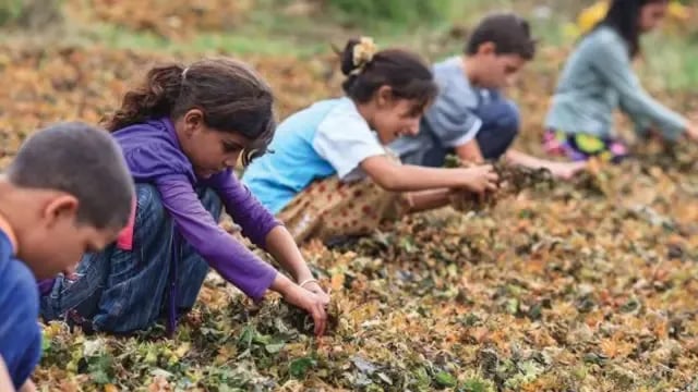 ÎLO: 54 milyon zarok di xeteriyê de ne