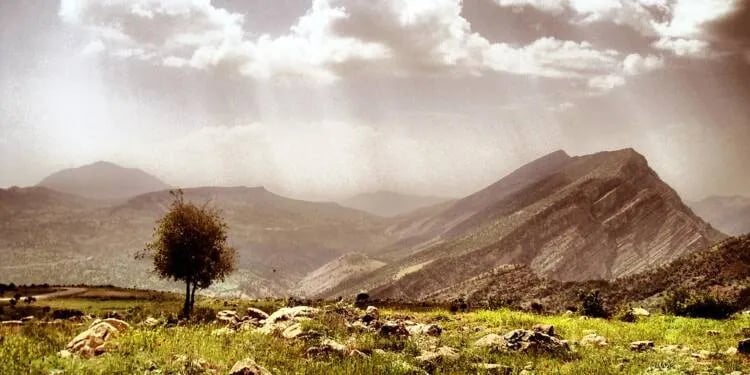Xoza birîndar a