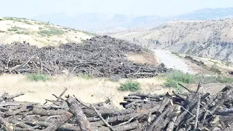 Talana xwezaya Kurdistanê qirkirineke sîstematîk a jîngehî ye