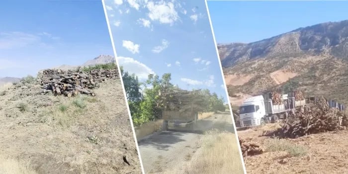 Xwezaya Kurdistanê bê xwedî ye