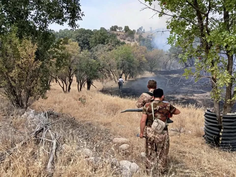 Li Qeredaxê zevî şewitî