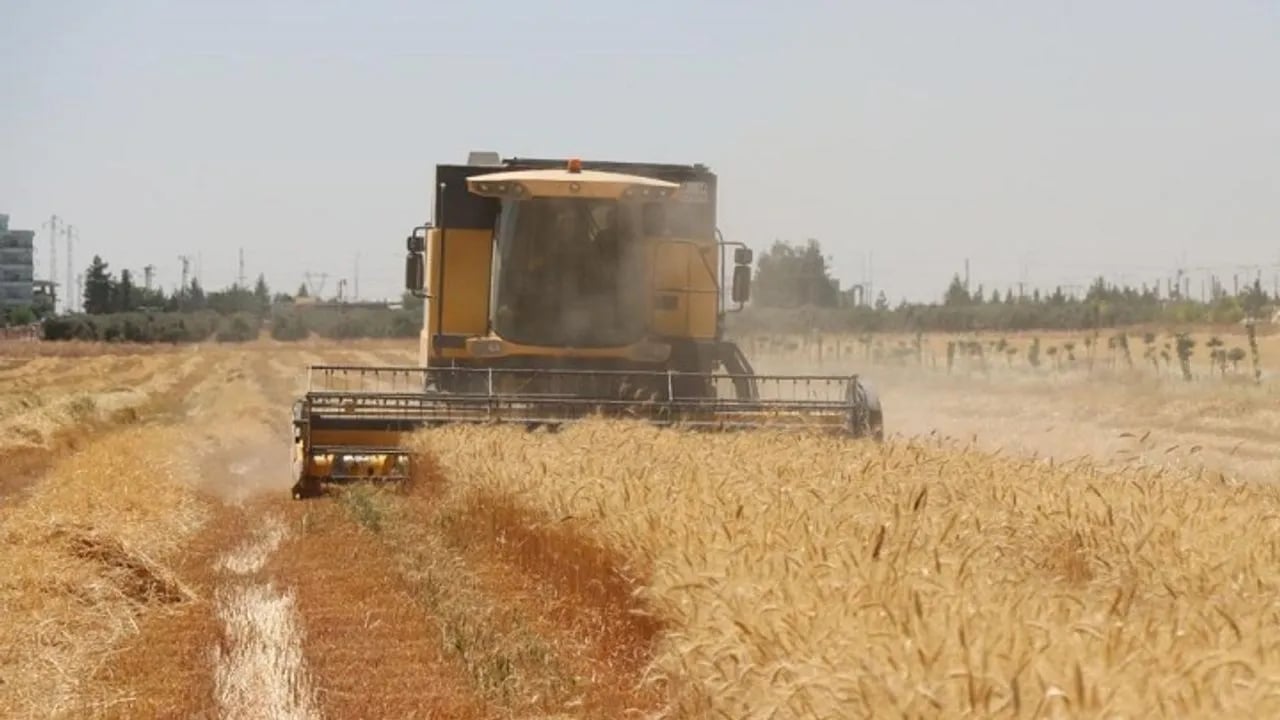 Farqîn de çinitişê zadî