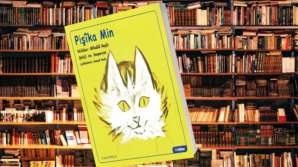 Pişîka min