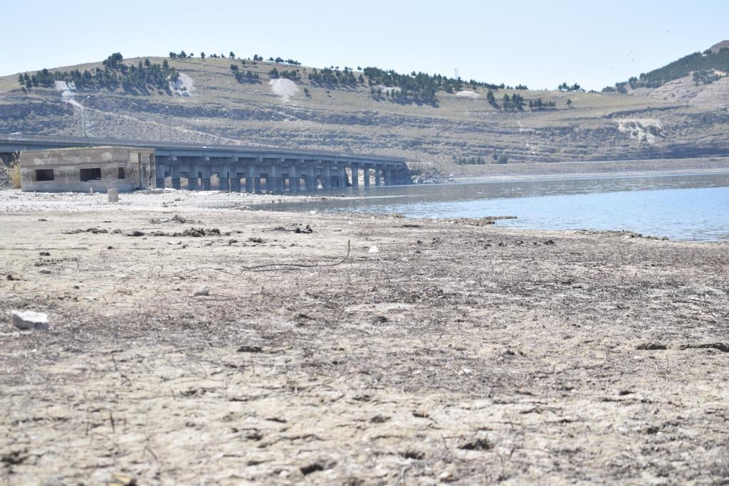 Kêmkirina ava çemê Firatê bandoreke nebaş li cotkariya Rojava dike
