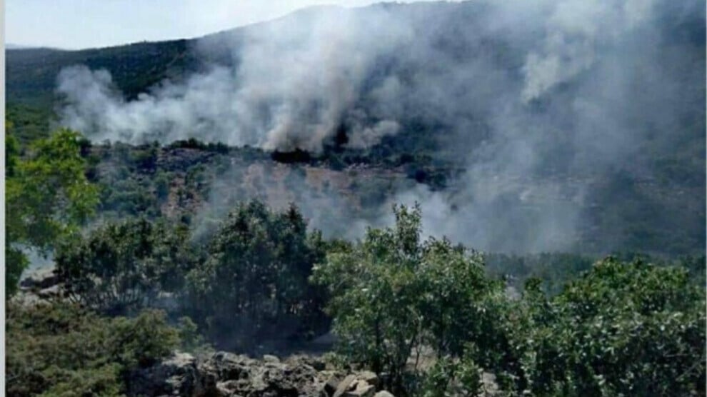 Daristanê Amed û Xarpêtî de şewat vejîya