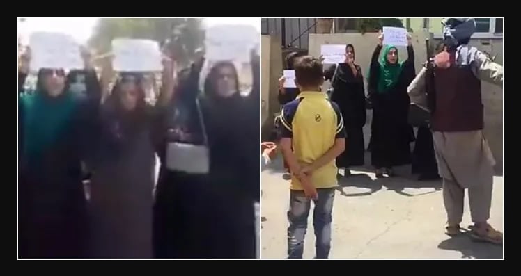 Platforma Kurdên Anatolyaya Navîn pêşbaziya wêje û muzîkê li dar dixe