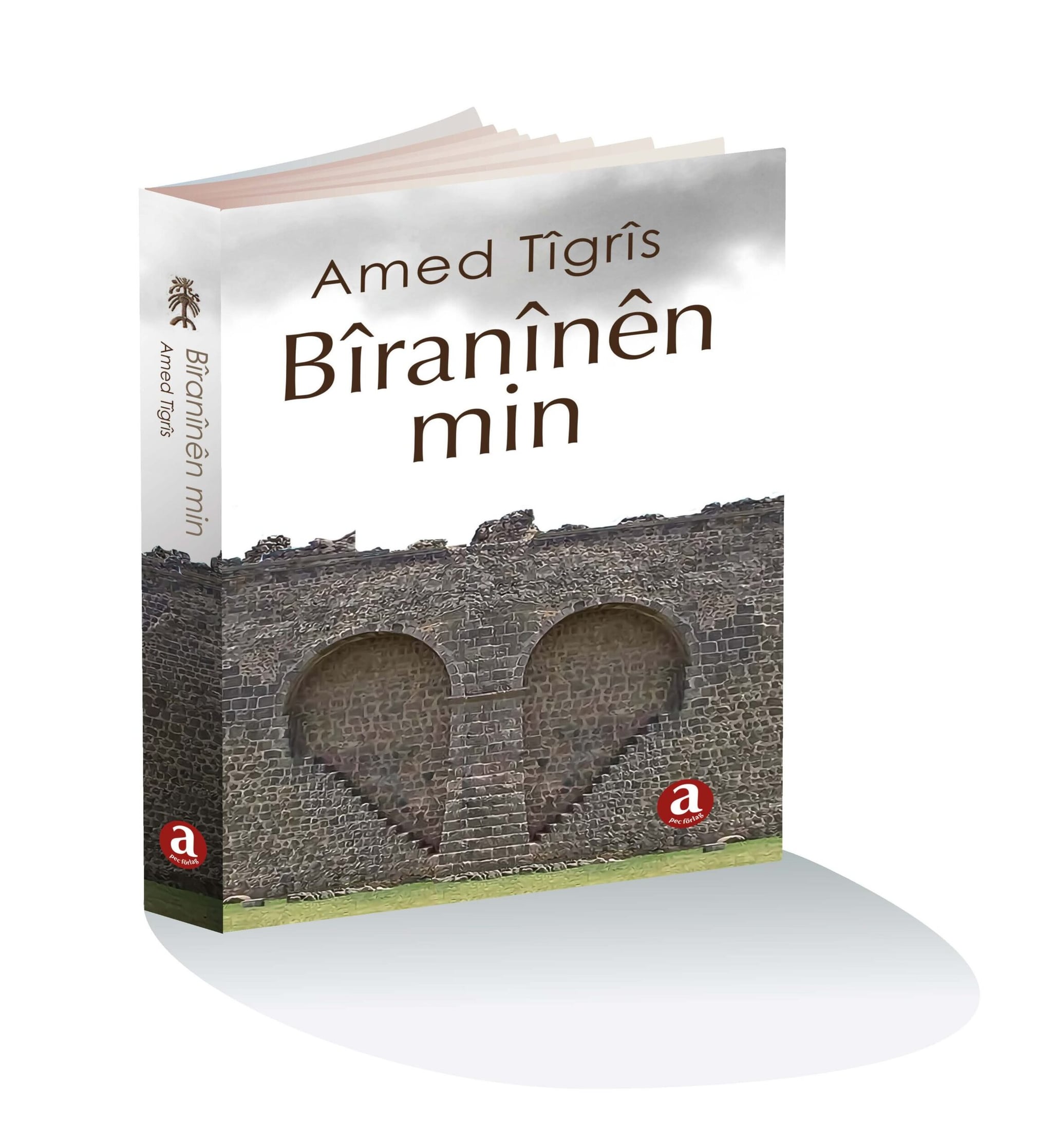 Girîngiya zimên di bîranînan da