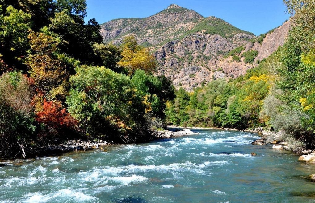 Xerîbê ziwanê dayika xo: Şîîrê Şemsî Bellî di şîdeto hermeneutîk