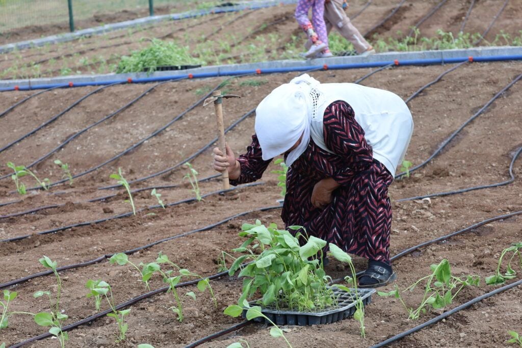 Şaredariya Rêya Armûşê ‘Bostana Bajêr a Jinan a Gundogduyê’ vekir