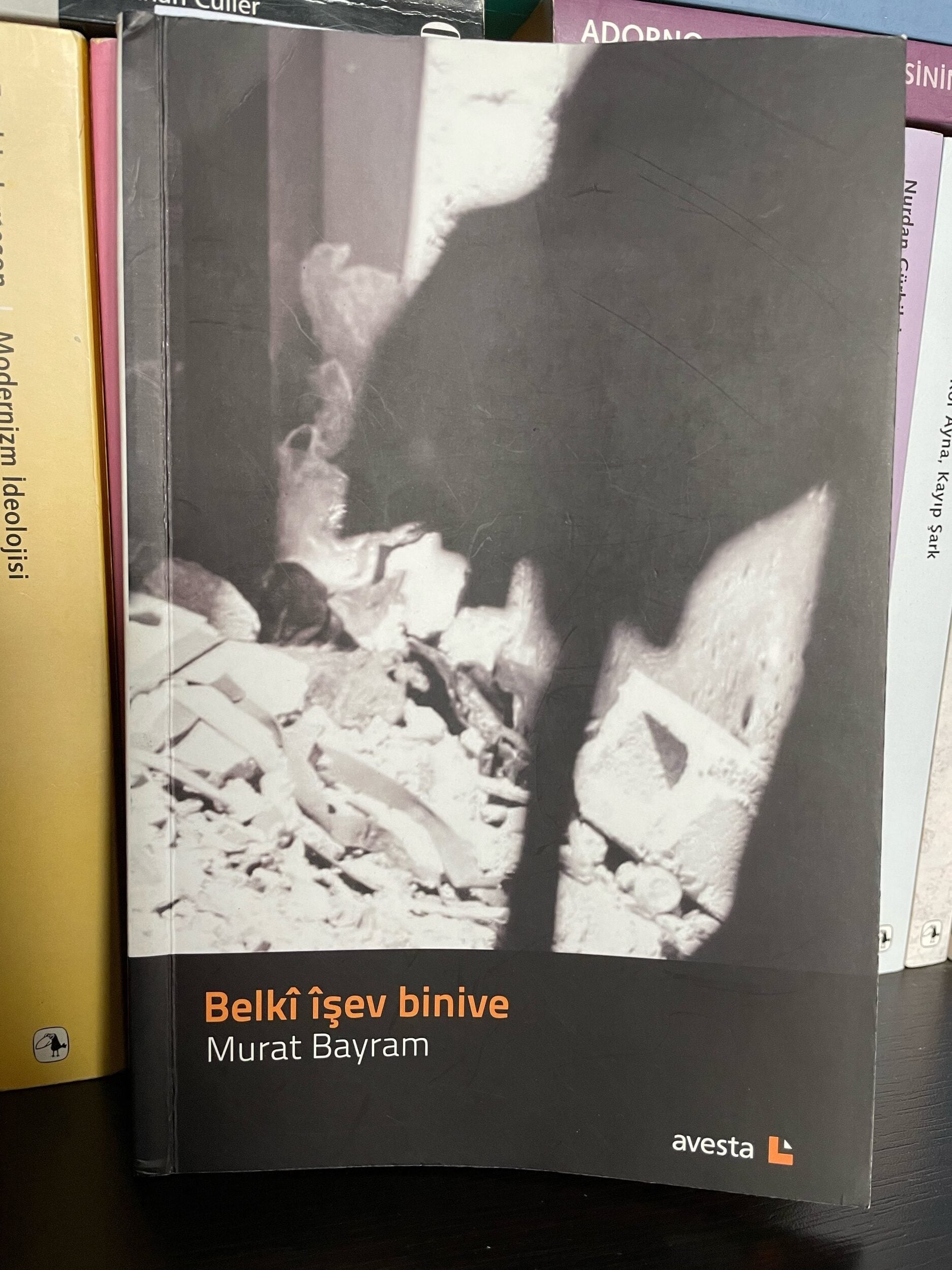 Rojnamegeriya edebî û mînaka ‘Belkî îşev binive’yê