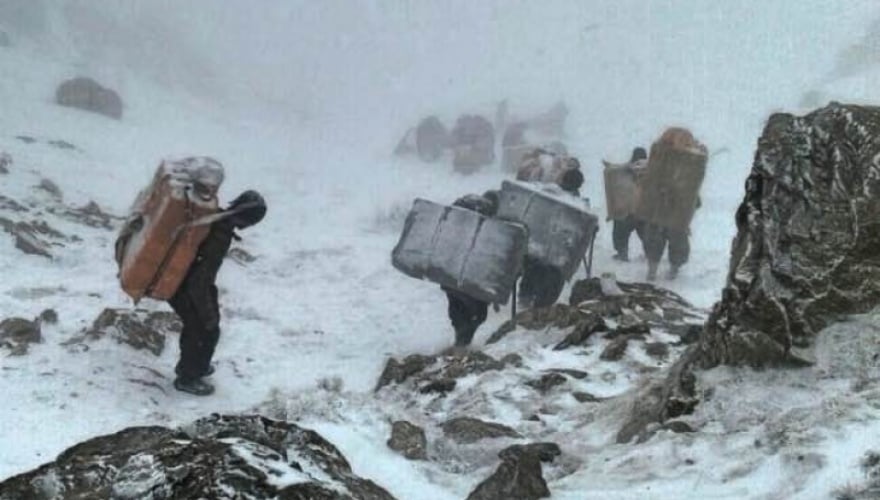 Di salekê de 252 kolber bûn qurbanî