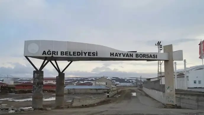Qers û Agirî de nêweşîya şapî: Borsayê heywanan ameyî girewtene