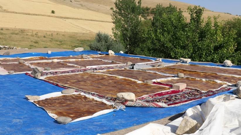 Dersimiyan dest bi çêkirina bastiq û dimsa tûyan kir