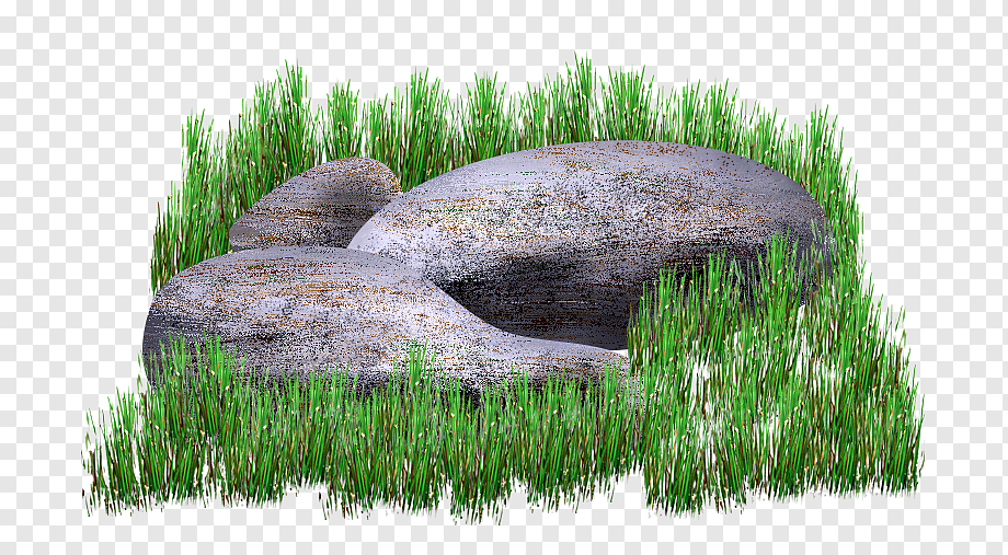 Hûn û wijdanê xwe