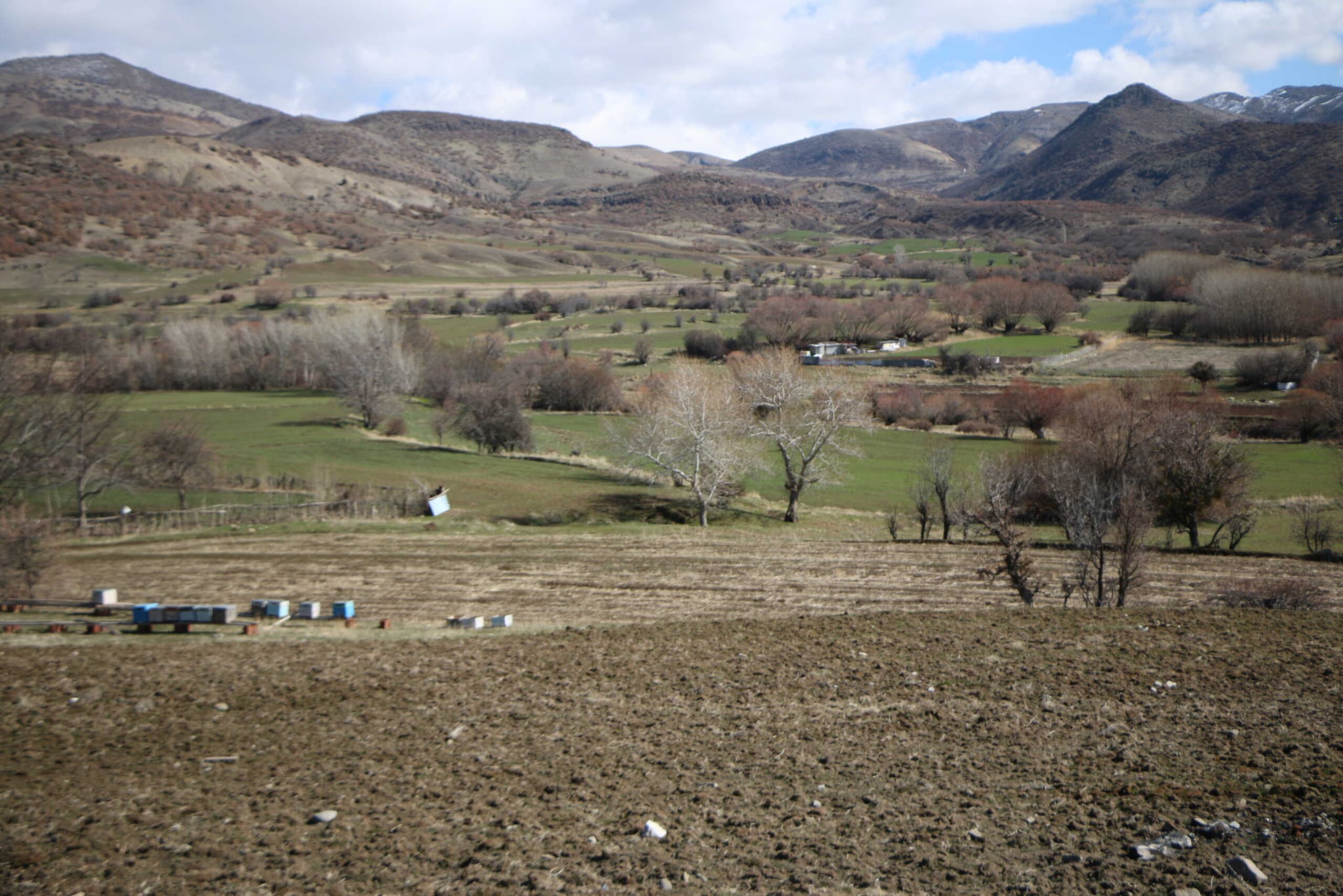 Dîsa bendav, dîsa wêranî û koçberî