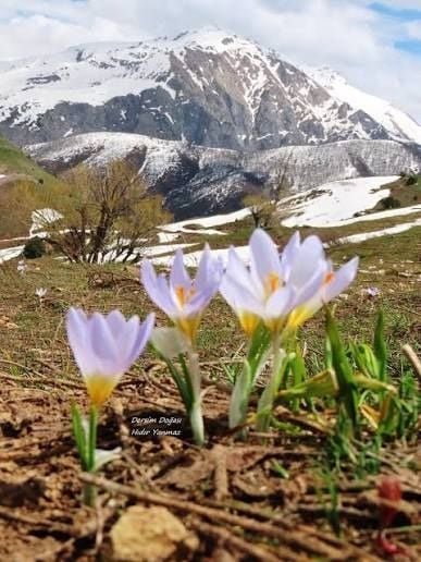 Şer, aştî û çend gotin