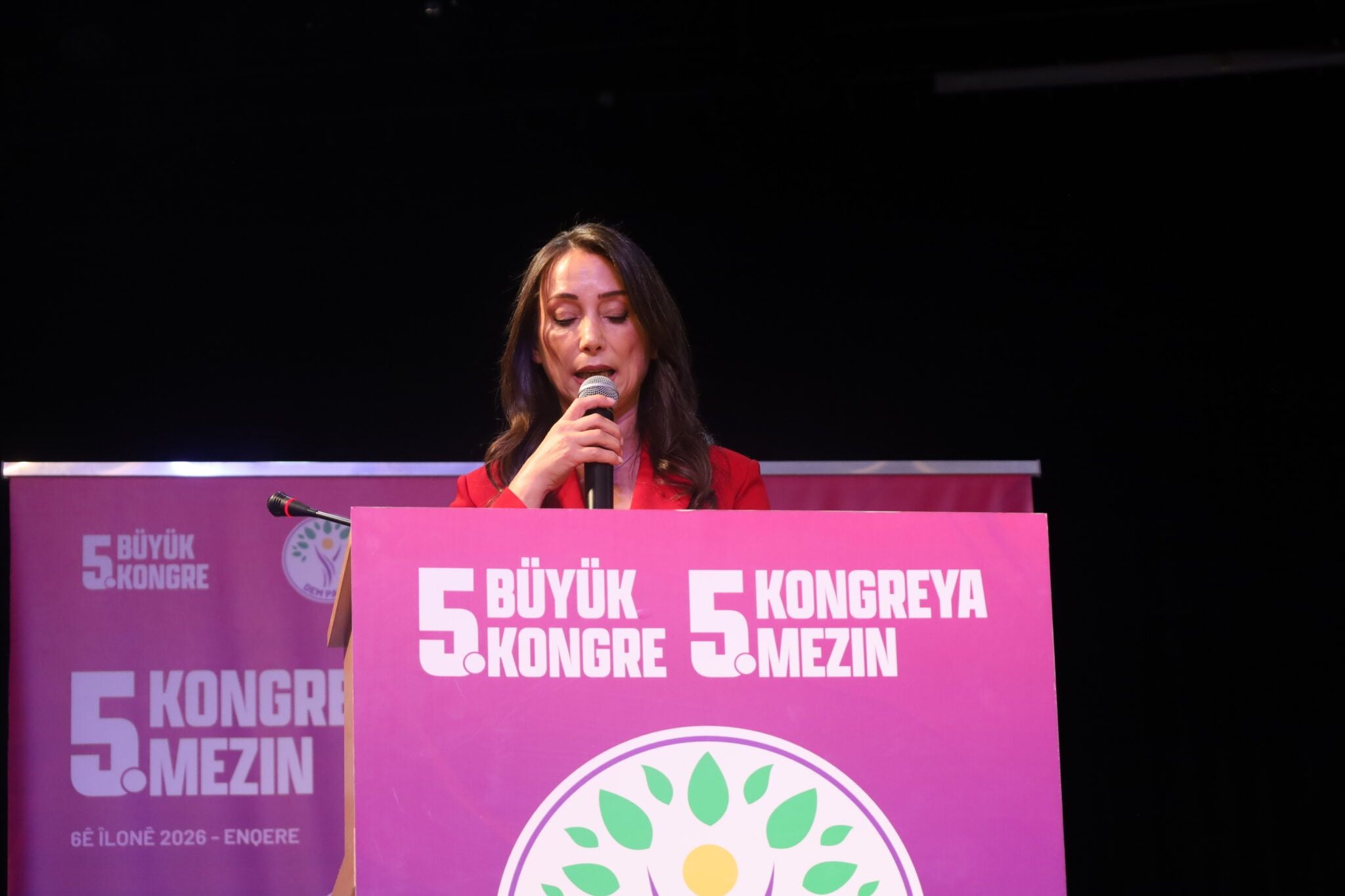 Tulay Hatîmogullari: Xelasî aştiya navxweyî ye