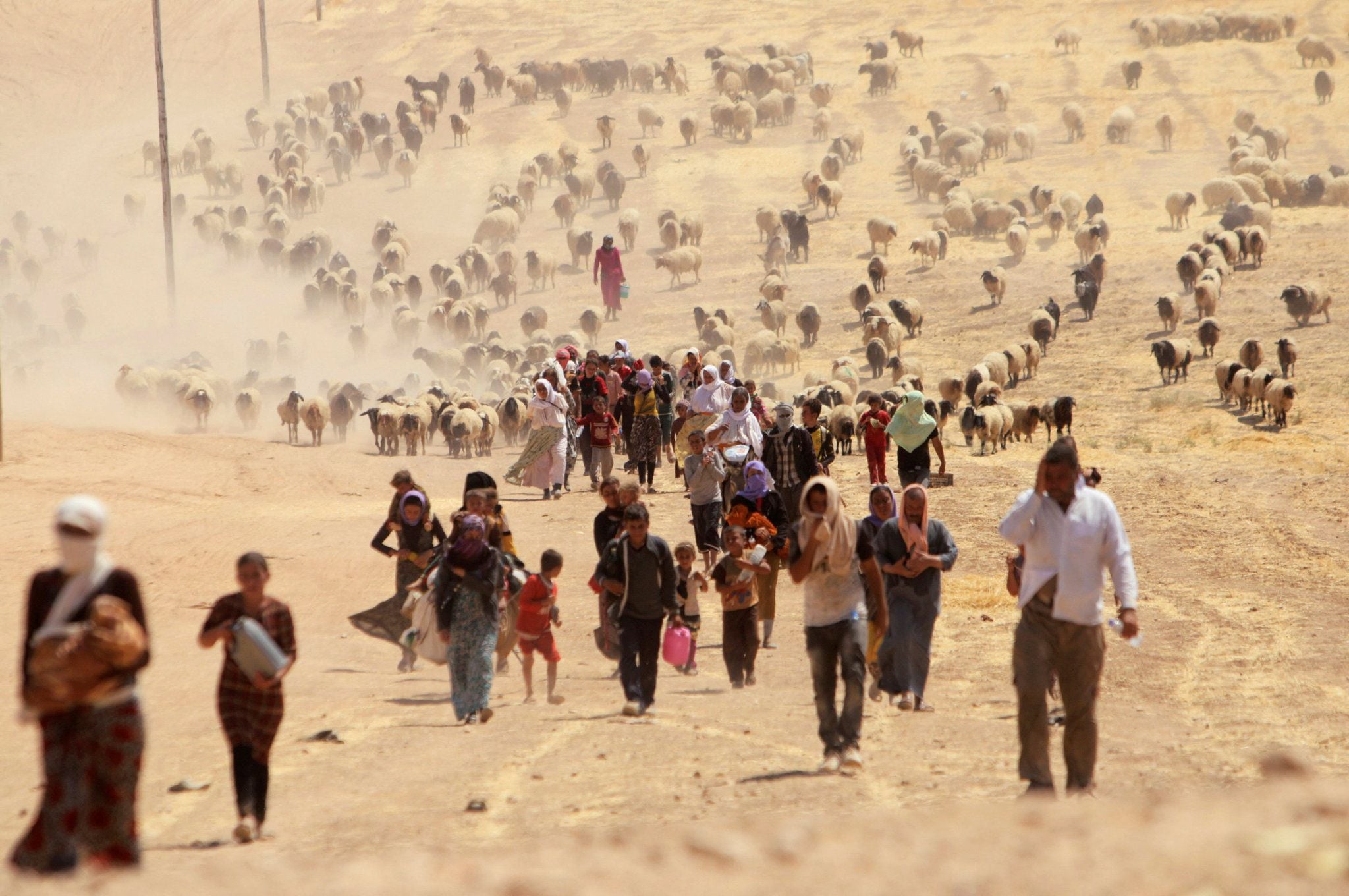 Civaka êzidî ne ew civaka 12 sal berê ye