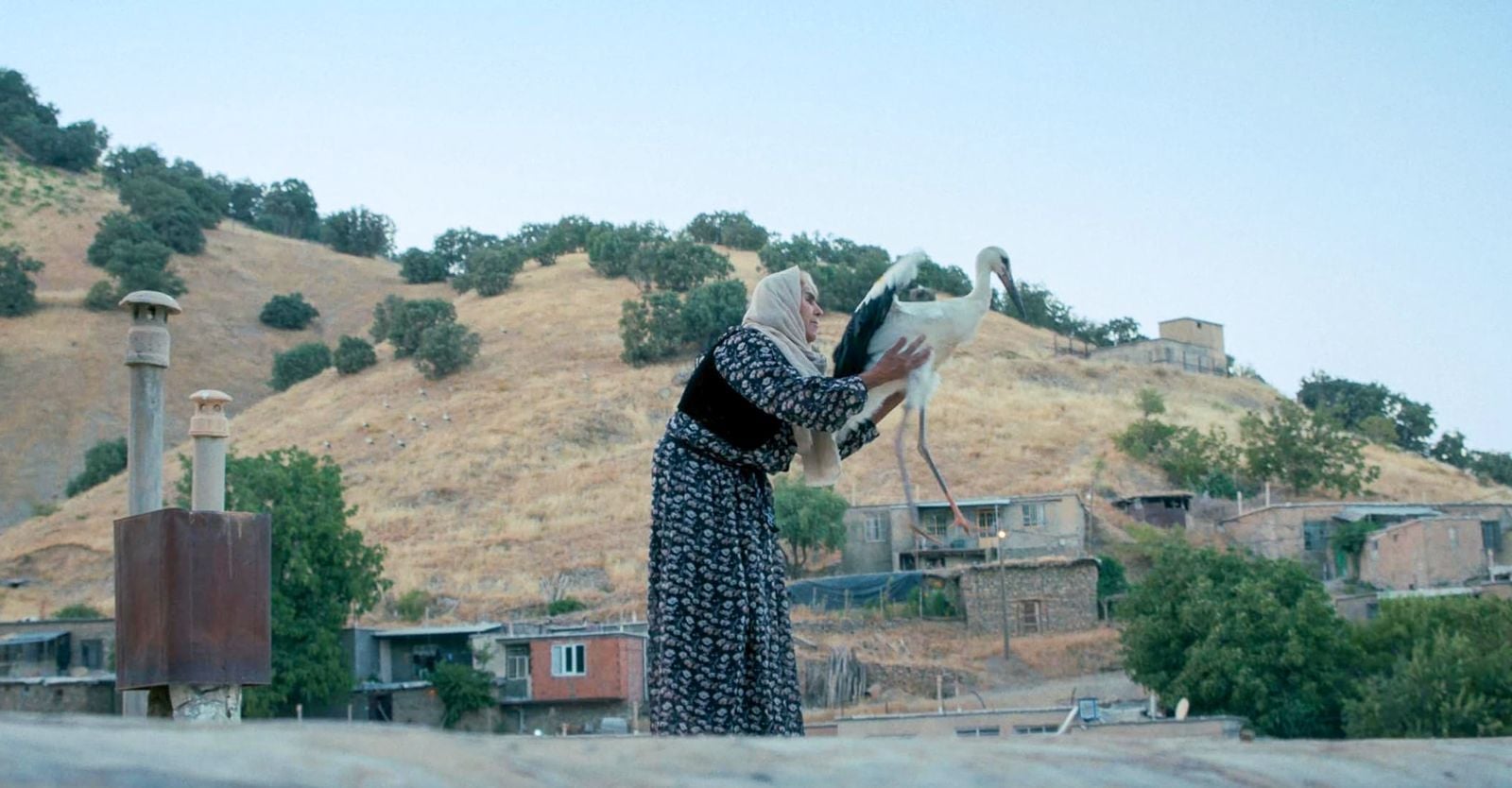 Belgefîlma ‘Awazî balekan’ û asta sînemaya kurdî!