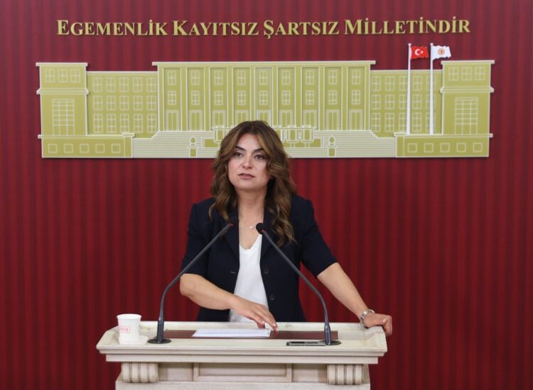 Gulistan Kiliç Koçyîgît: Dê pêşnûmeqanûnê pêşkeşî heyeta me bikin