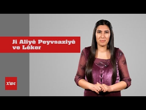 Rêzedersên Kurmancî 20 - Ji Aliyê Peyvsaziyê ve Lêker