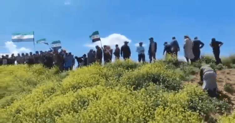 Li Kobaniyê provokasyona komên Tirkiye û Şamê