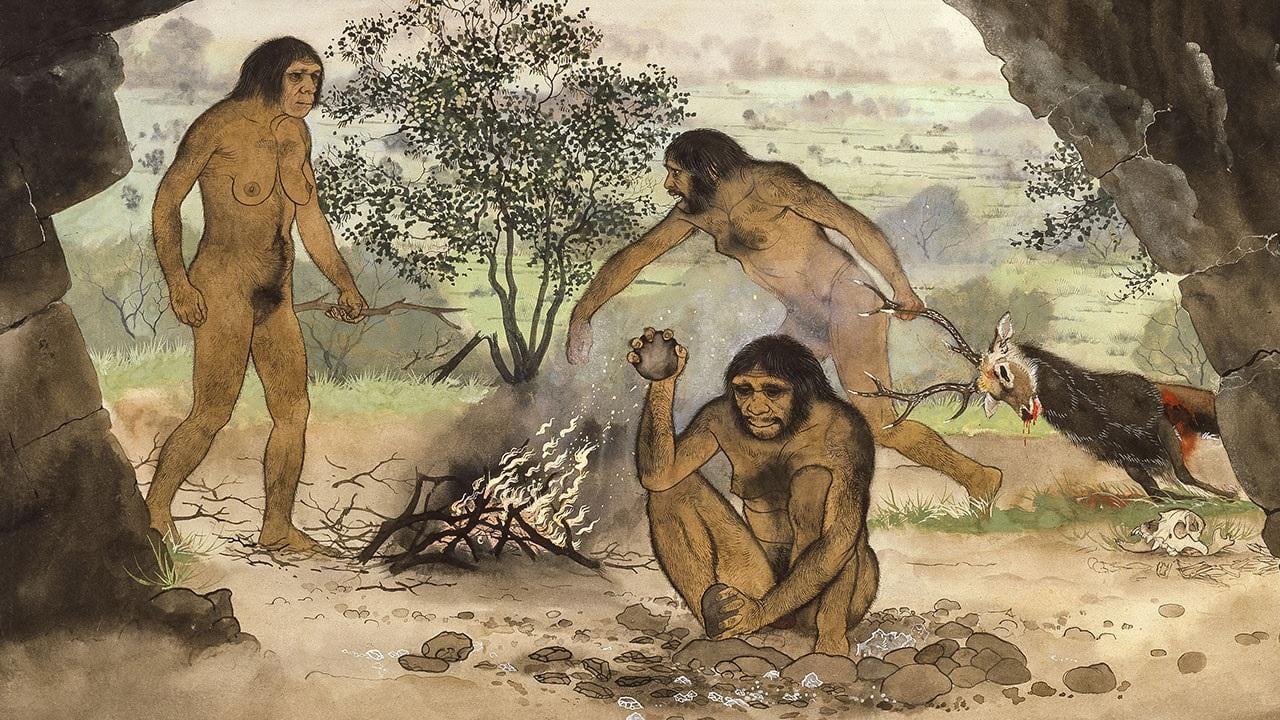 Teknolojiya şer rehberê şaristaniya şerxwaz e