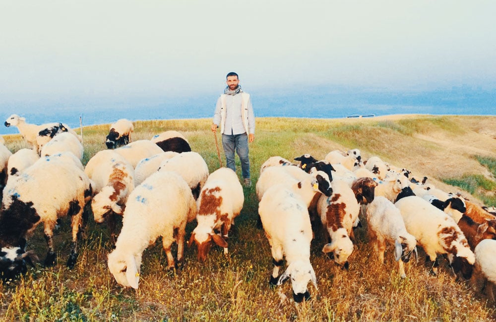 Nerehetiya pez ji şivanê nezan e