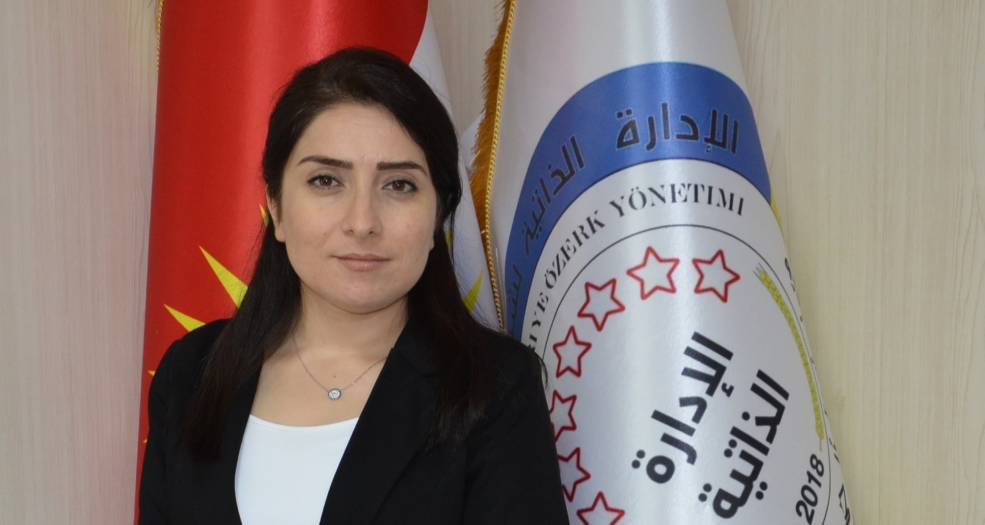 Nurşen Hisen: Tenê PDK nûnertiya Rojava qebûl nake