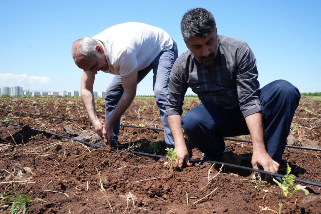 Li navçeya Peyasê komuna çandiniyê hat avakirin