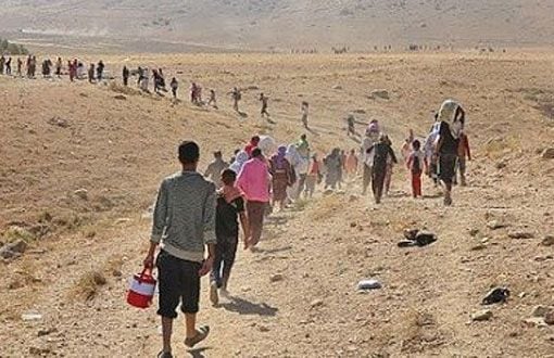 Civaka herî kevnar, li ber şûrê çeteyên herî hov: Êzidî