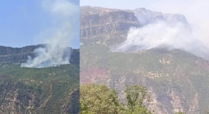 Sêrt de adir kewt daristanî