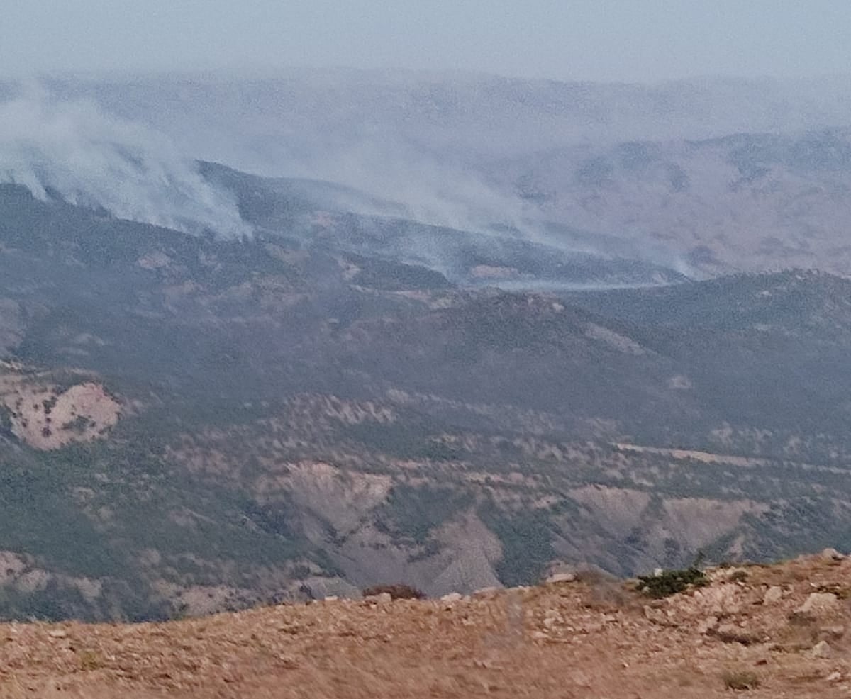 Agirê bi daristana Bestayê ketiye didome